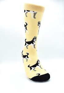 Socks Husky